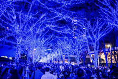 渋谷　青の洞窟16