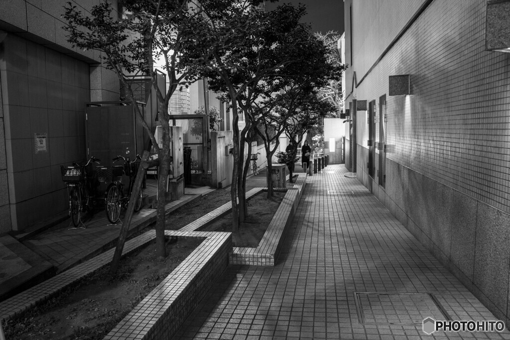 六本木スナップ2