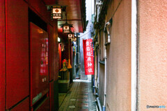 銀座～新橋スナップ22