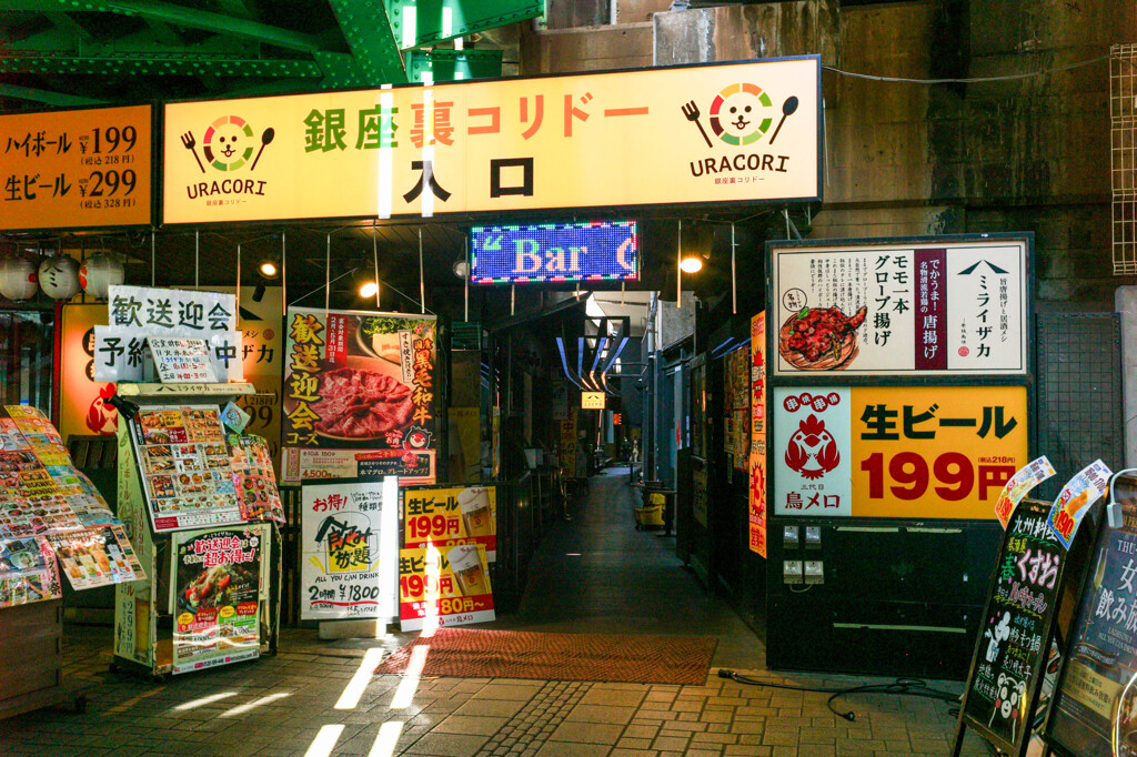 銀座～新橋スナップ25