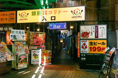 銀座～新橋スナップ25