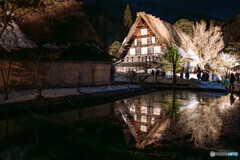 白川郷のライトアップ17