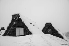 大雪の白川郷9