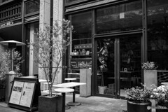 丸の内仲通りスナップ15