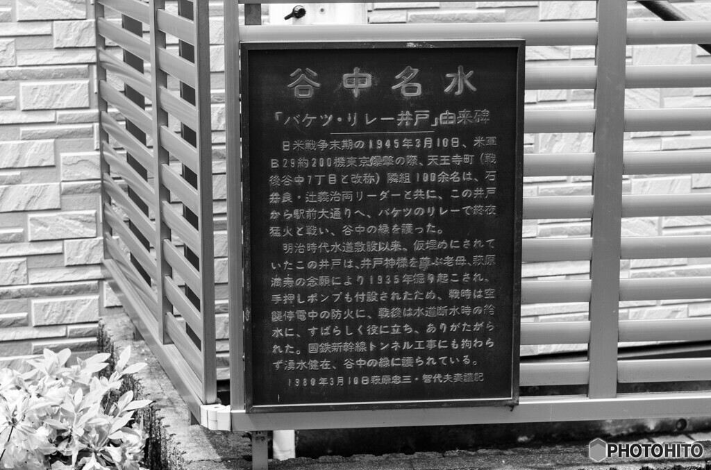 谷根千スナップ9