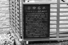 谷根千スナップ9