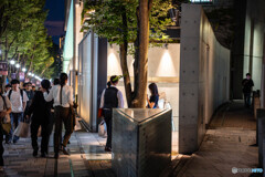 夜の散歩18