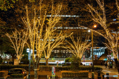 新宿のイルミネーション1