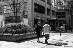 表参道スナップ1