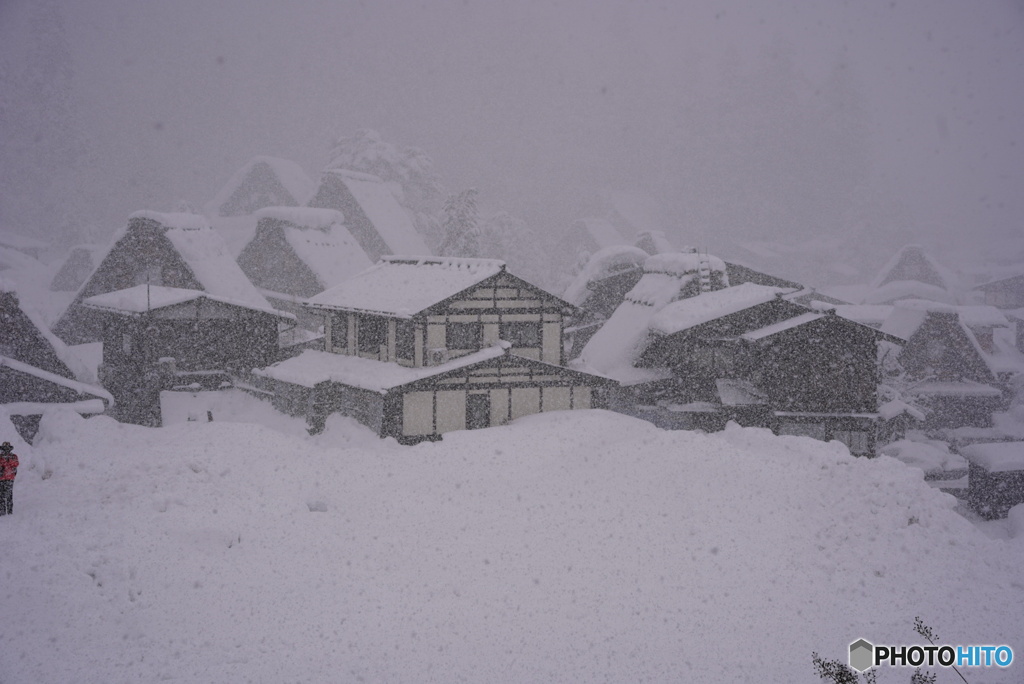 三度目の白川郷