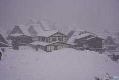 三度目の白川郷