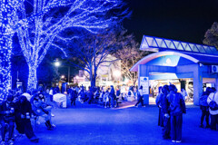 渋谷　青の洞窟17