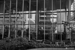 虎ノ門ヒルズ　スナップ5