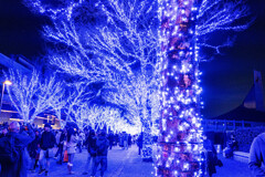 渋谷　青の洞窟7