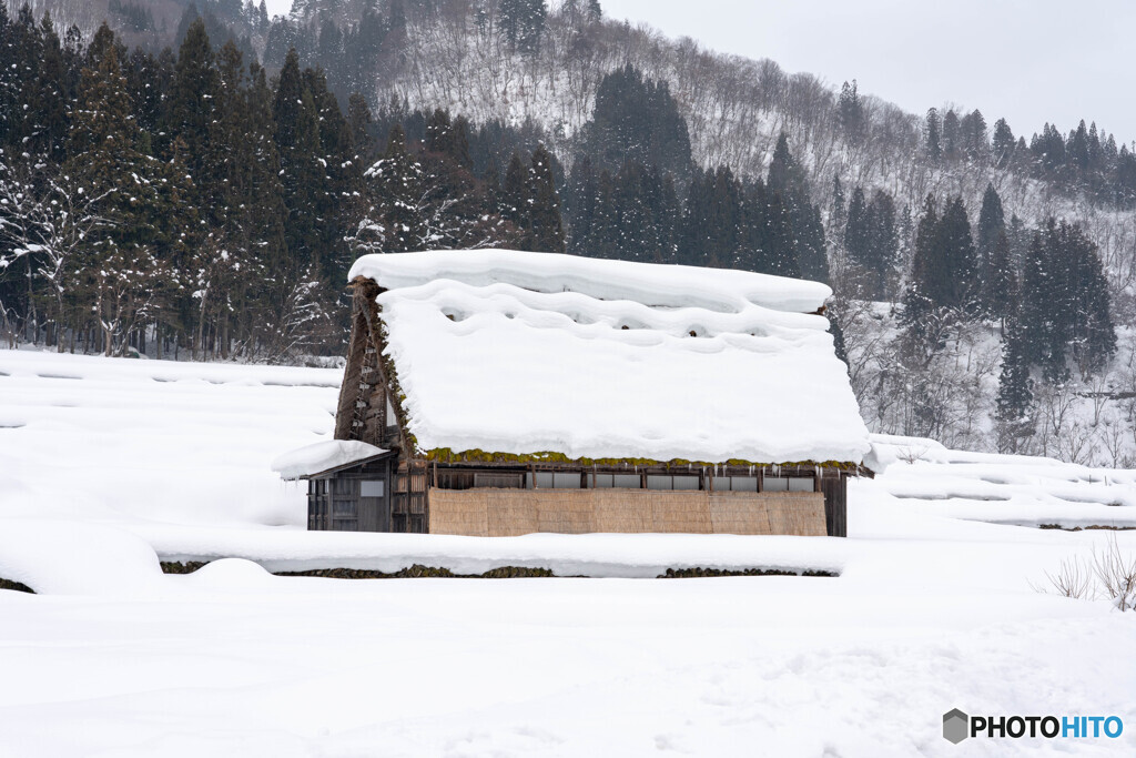６年前の白川郷1