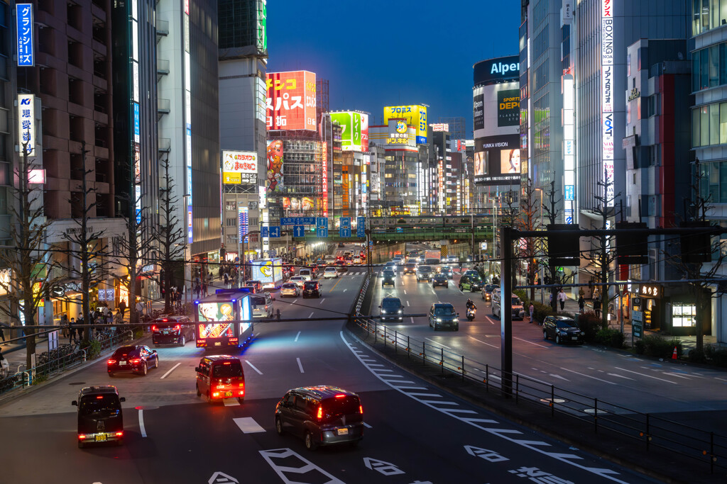 新宿の夜