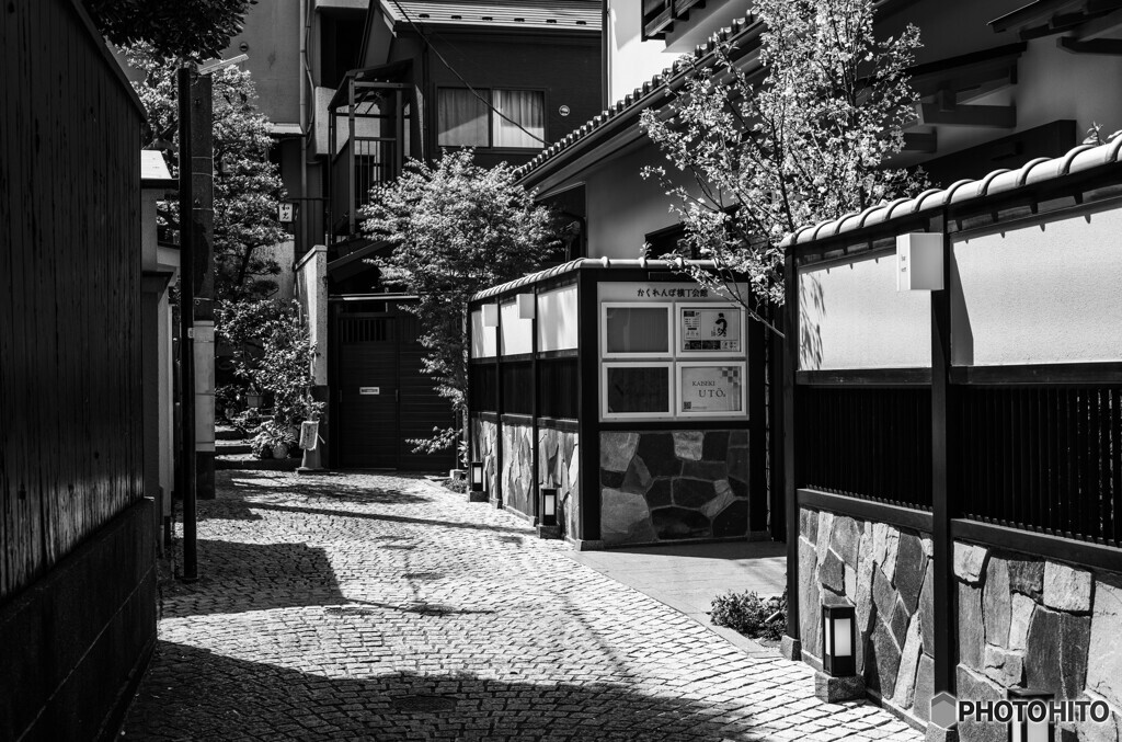 新宿の路地裏33