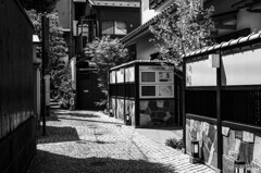 新宿の路地裏33