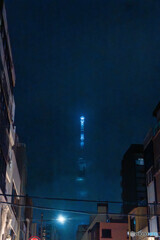 夜の散歩116