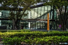 新宿　高層ビル9