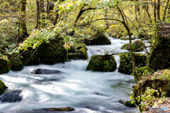 過去の写真から3(奥入瀬川) 過去の写真から3(奥入瀬川)