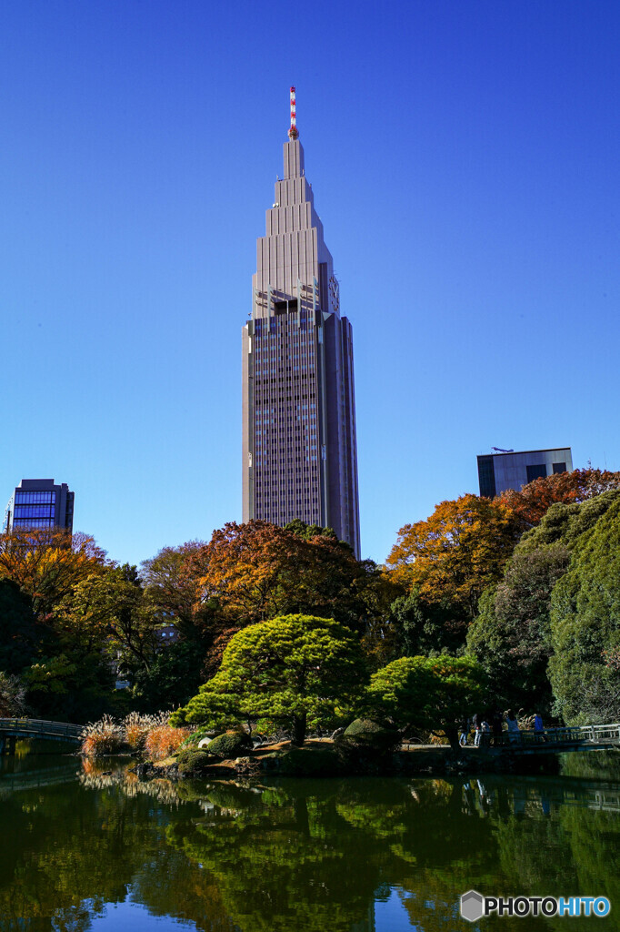 新宿御苑9