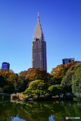 新宿御苑9