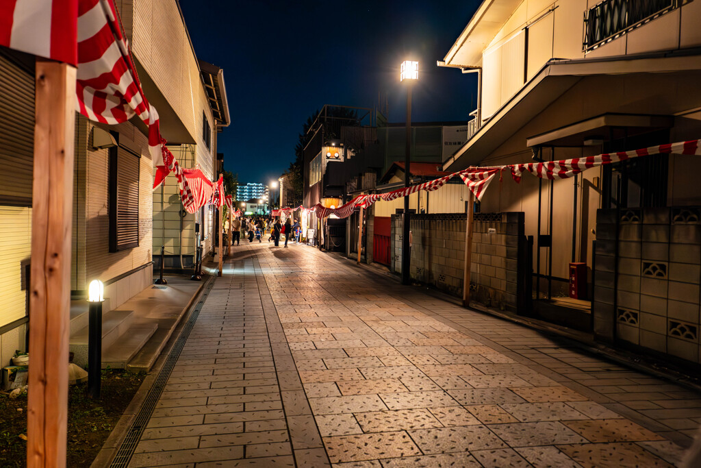 夜の川越祭り16