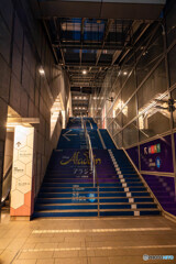 夜の汐留 スナップ4