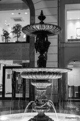 竹下通りの裏道13 竹下通りの裏道13