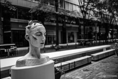 丸の内仲通りスナップ16