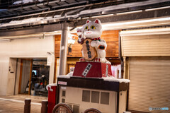 雪景色の飛騨高山7