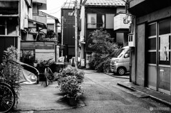 下町スナップ84