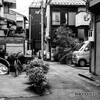 下町スナップ84