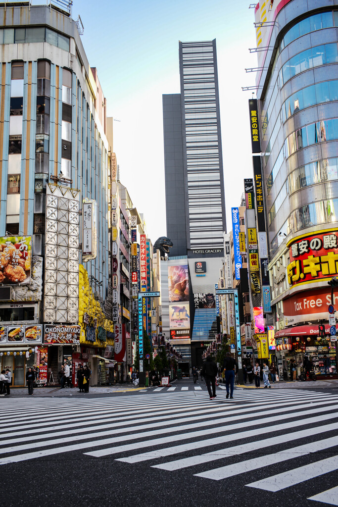 早朝の新宿2