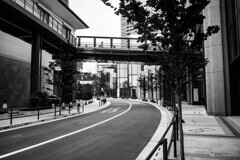 麻布台ヒルズ　スナップ2