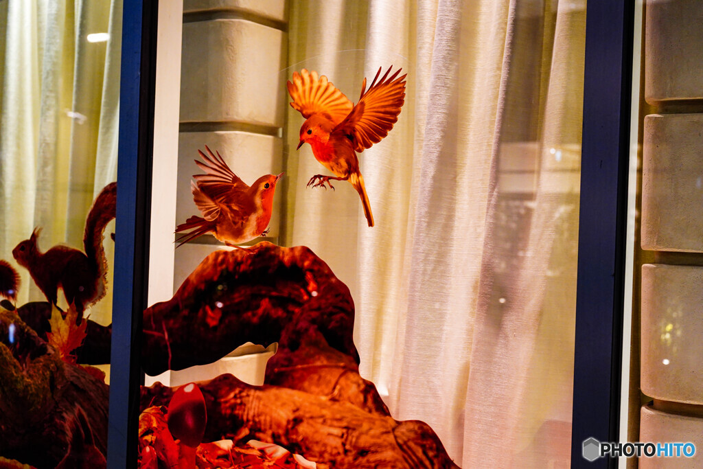 銀座通りを避けて4