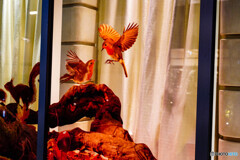 銀座通りを避けて4 銀座通りを避けて4