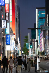 夜の散歩74