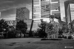 虎ノ門ヒルズ　スナップ14