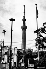 下町スナップ6