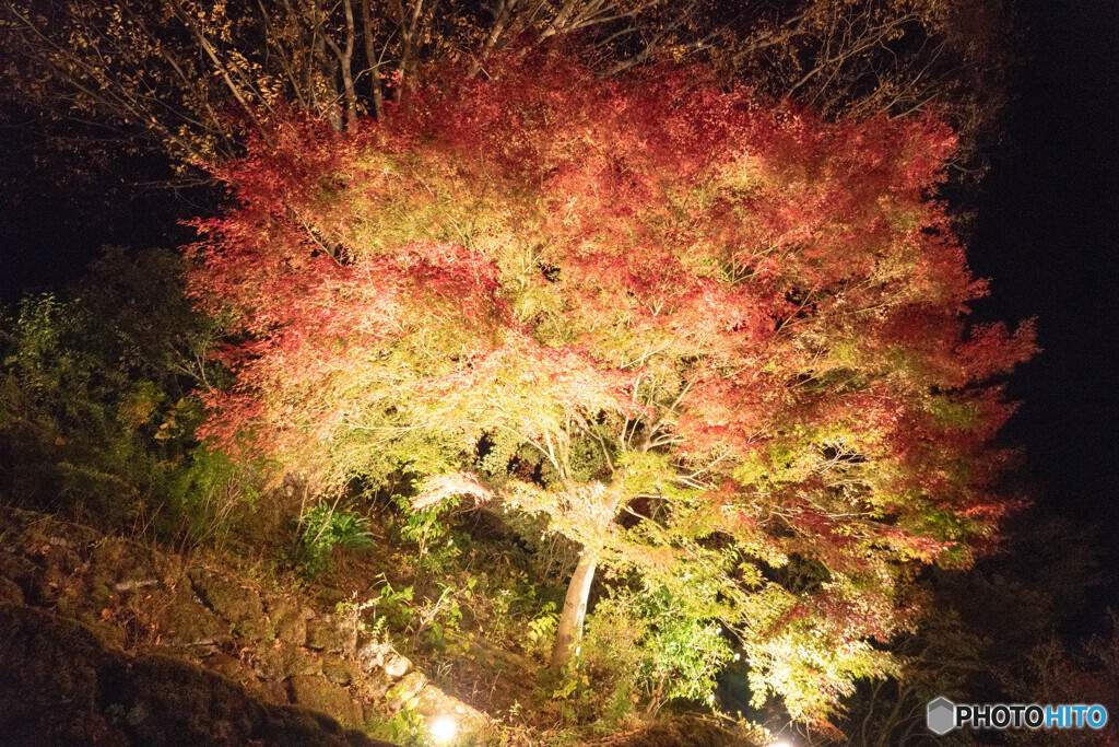 馬籠宿（6年前）18