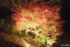 馬籠宿（6年前）18