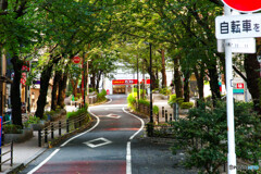 渋谷　スナップ18