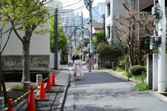 南青山の裏路地4