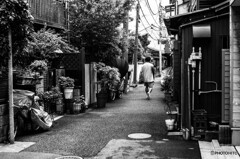 谷根千スナップ6