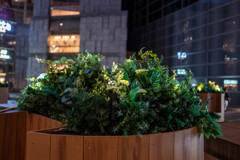 夜の汐留 スナップ3