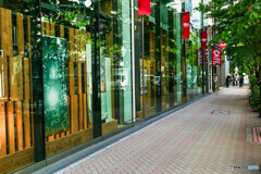銀座～新橋スナップ13