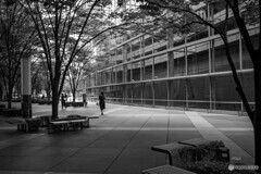 東京国際フォーラム ガラス棟12