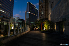 夜の汐留 スナップ6